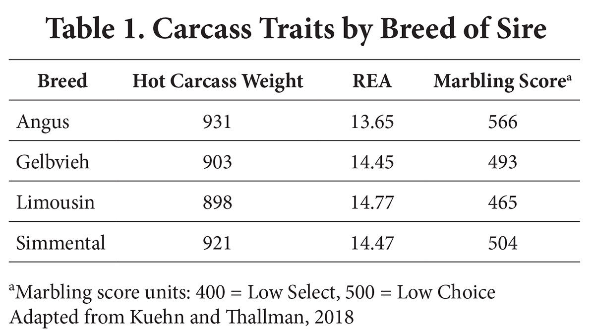 Carcass traits chart SDSU